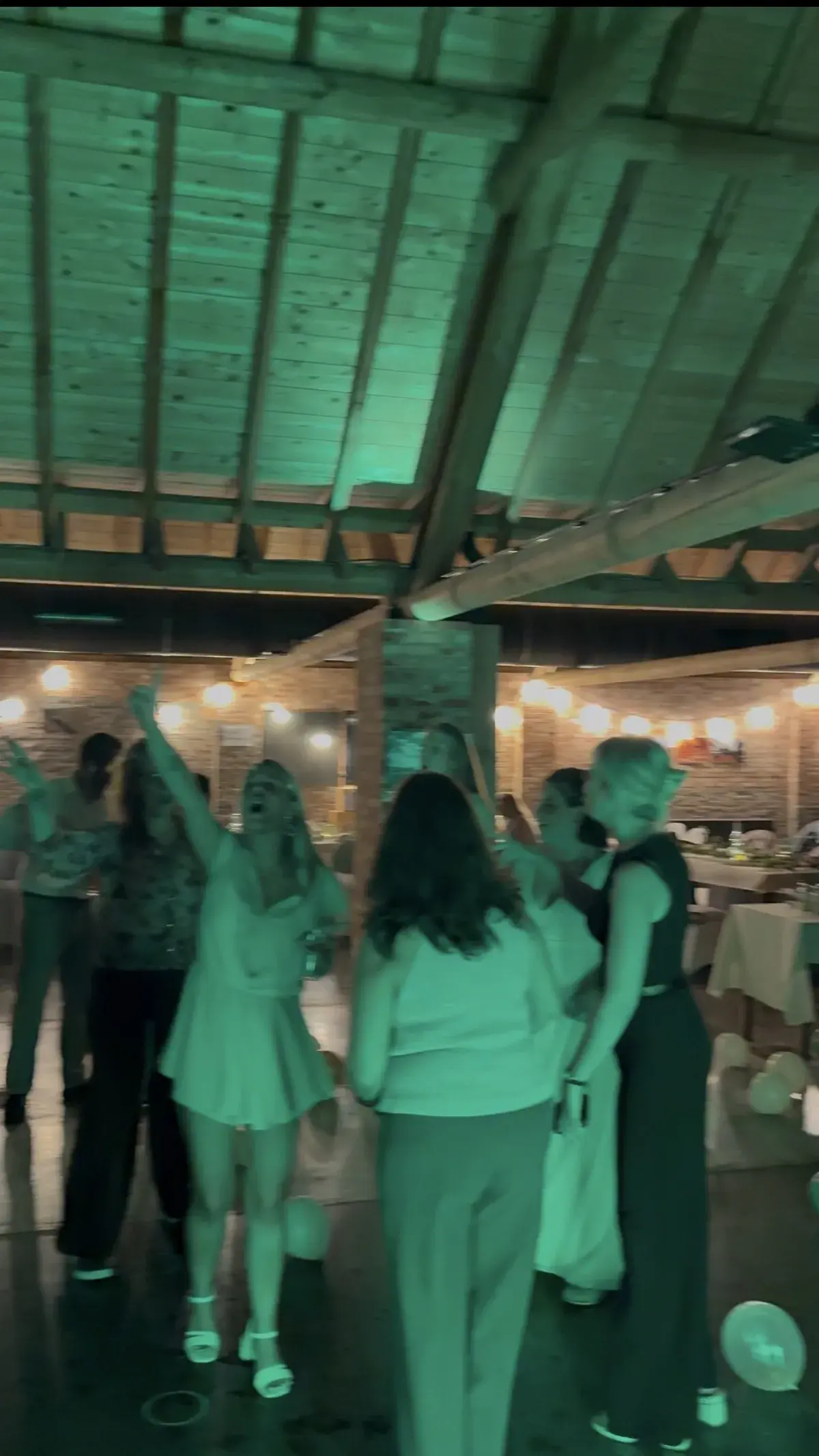 Feestgangers dansen in schuur met groene verlichting